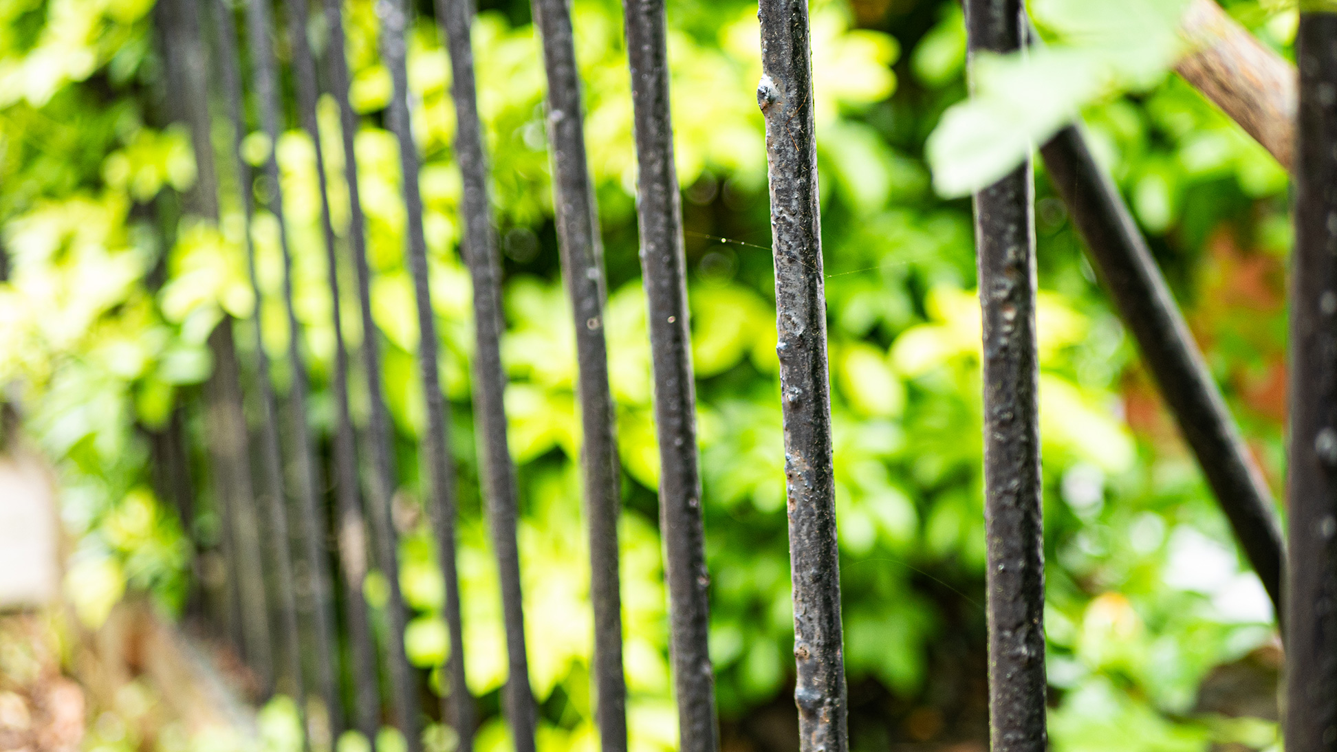Metal Fence Railings